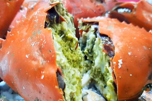 Ngoài độ hiếm, cua hai da còn có độ thơm ngon đứng đầu trong tất cả các loại cua. Ảnh: Dân Việt