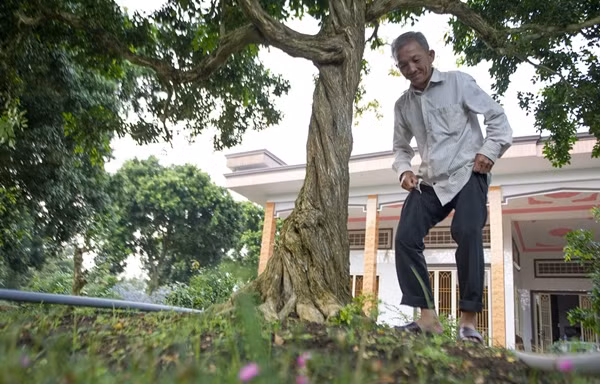 Lão nông Lê Bá Sanh (ở huyện Cai Lậy, tỉnh Tiền Giang), sở hữu vườn kiểng hơn 120 cây nguyệt quế, được định giá cả tỷ đồng. Ảnh: Zing