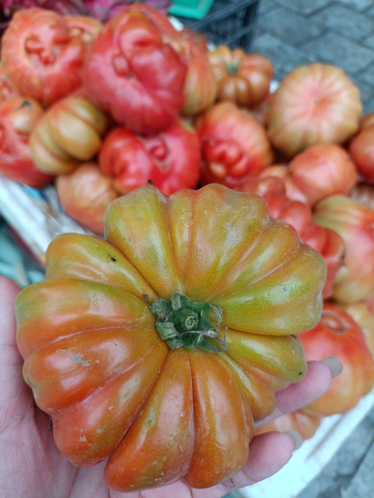 Mấy năm nay, trên thị trường xuất hiện giống cà chua có vẻ ngoài xấu lạ, đó là cà chua múi. Ảnh: Facebook