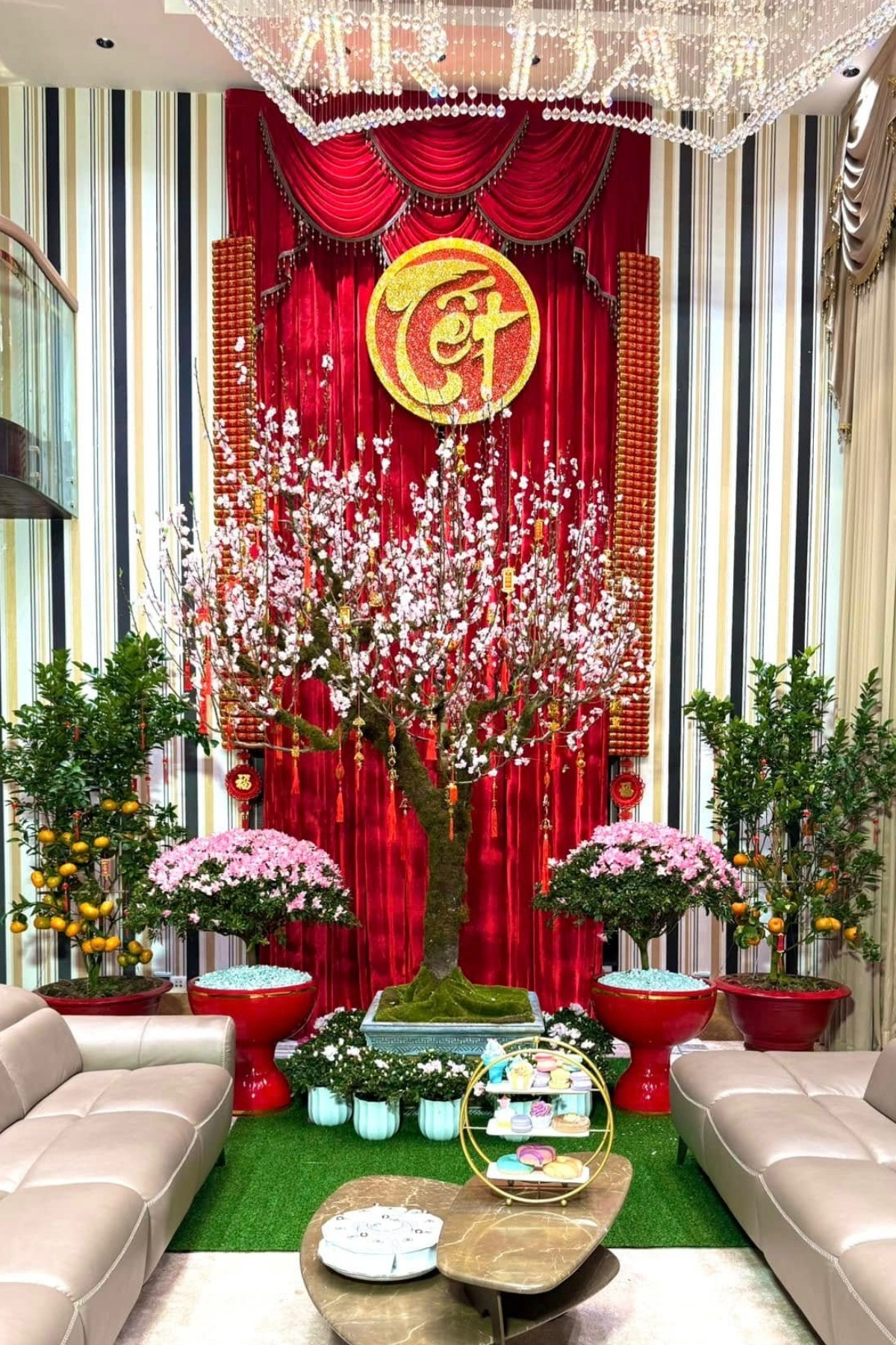 Mỗi ngóc ngách trong nhà đều có sắc xanh của lá cùng sắc vàng, đỏ, trắng của các loại hoa. Ảnh: FBNV