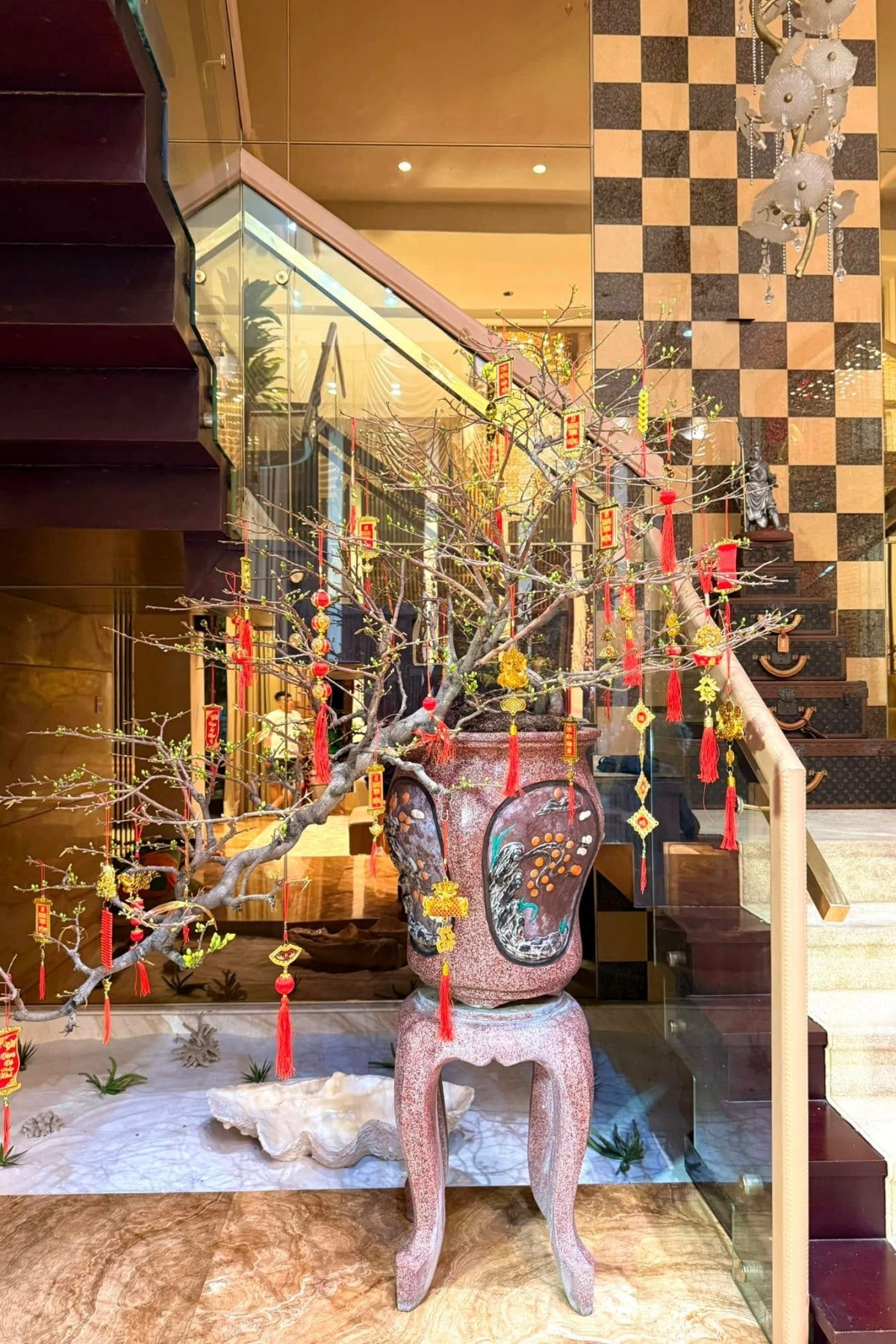 Mai vàng tô điểm cho căn biệt thự của Đàm Vĩnh Hưng. Ảnh: FBNV