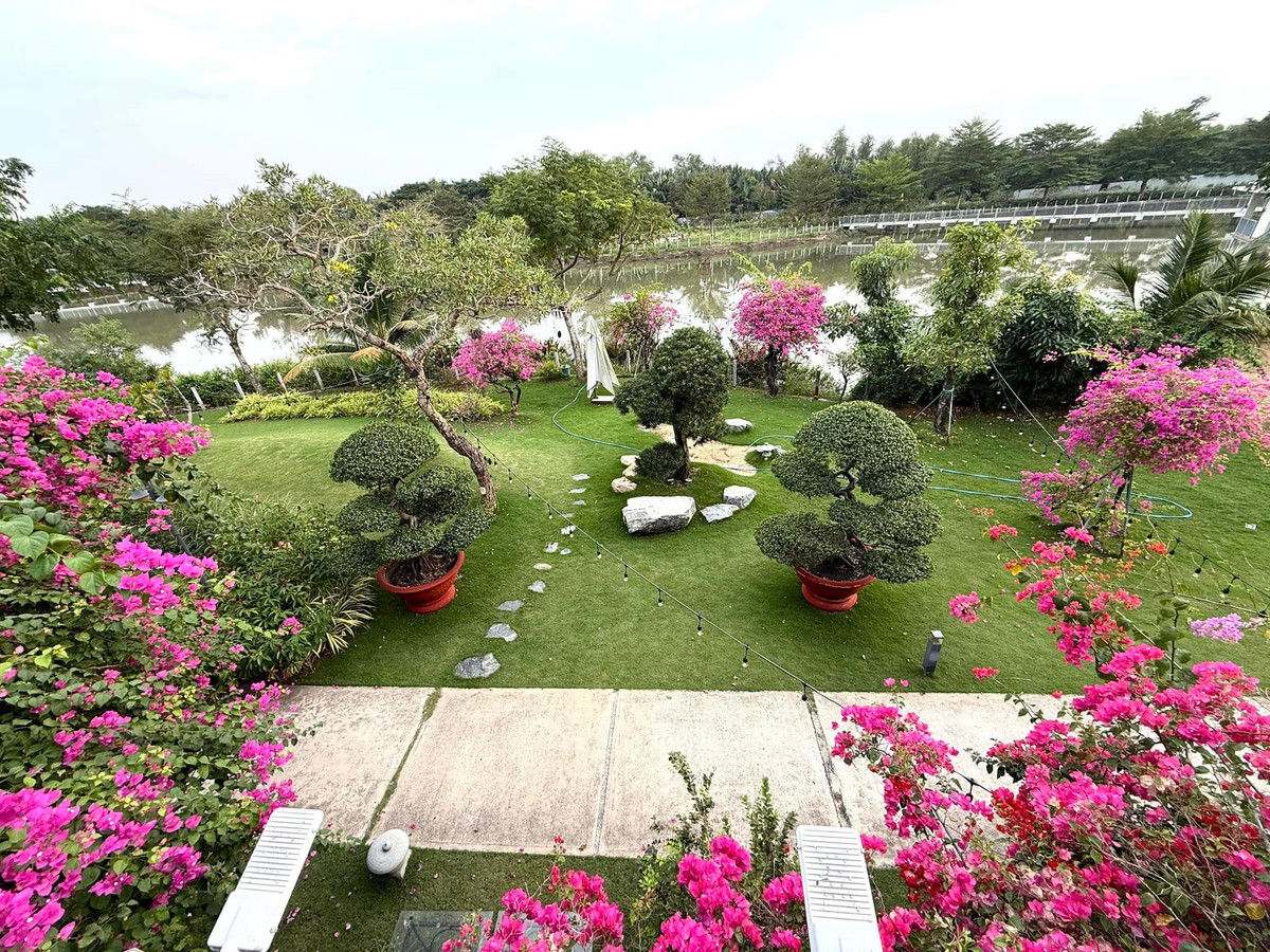 Từ một khu đất trống đầy cát sỏi, ca sĩ Cao Thái Sơn đã biến nơi đây thành không gian đầy sức sống. Ảnh: FB Cao Thái Sơn