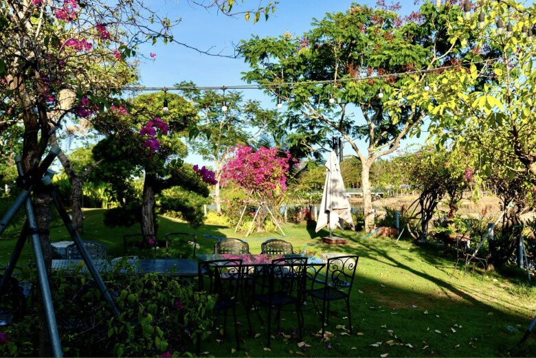 Kết hợp với đá tự nhiên và thảm cỏ xanh, không gian sân vườn trở nên hài hòa, đẹp mắt. Ảnh: FB Cao Thái Sơn