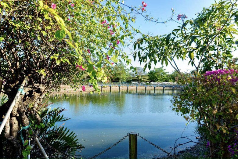 Hồ nước, cây xanh và tiểu cảnh làm tăng giá trị căn biệt thự của Cao Thái Sơn. Ảnh: FB Cao Thái Sơn