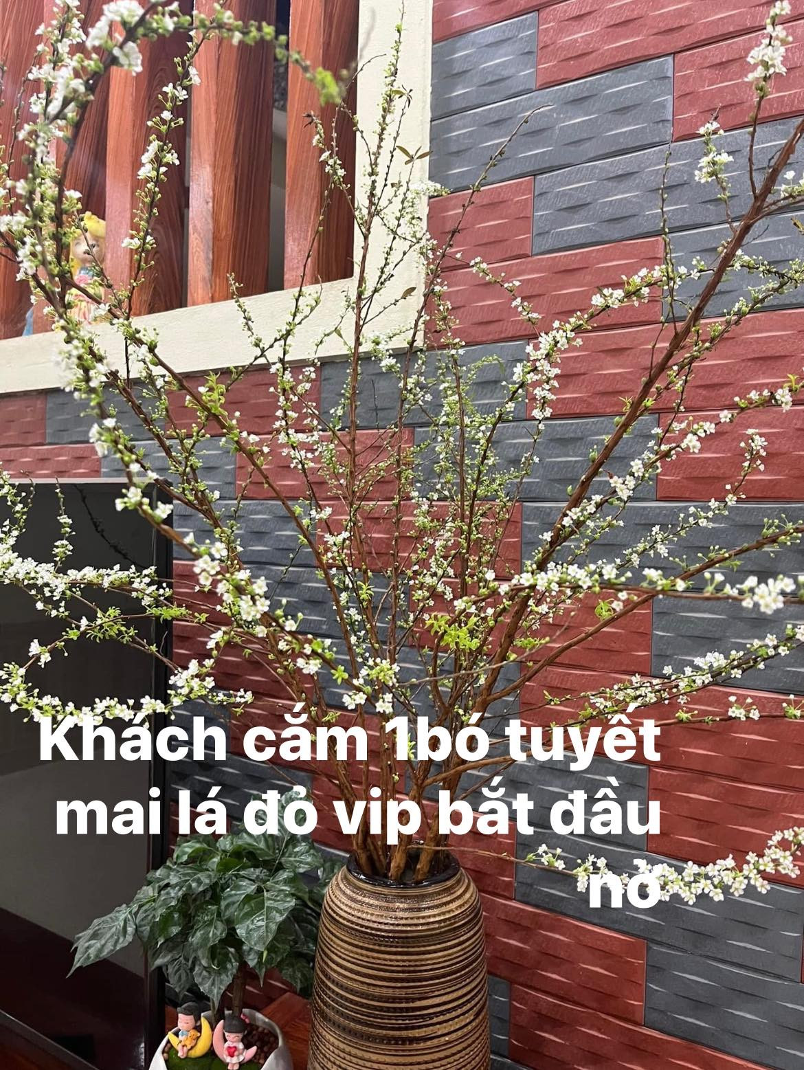 Chị Nga (một người bán hoa online) cho biết đang bán tuyết mai loại VIP dài 1,5 - 2 mét, giá 85.000 đồng/bó. Ảnh: FB Do Thi Thanh Nga