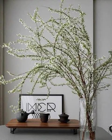 Có nhiều kinh nghiệm chơi tuyết mai, chị Trang (Hai Bà Trưng, Hà Nội) cho biết, loại hoa này có hai loại là tuyết mai vườn và tuyết mai rừng. Ảnh: FB Hoa hồng ngoại 2018