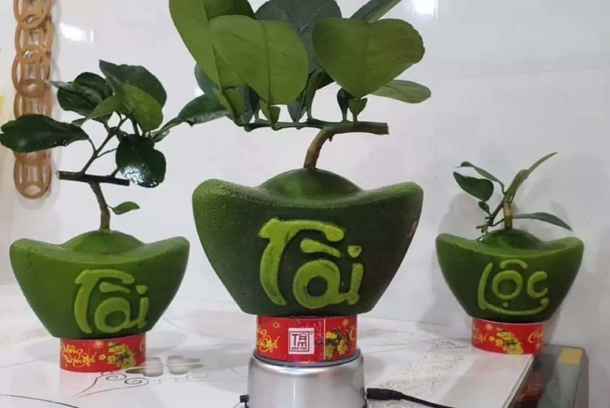 Những con chữ vàng nổi trên nền da xanh mang đến sự khác biệt, tạo nên những quả bưởi tạo hình độc đáo. Ảnh: Dân Việt