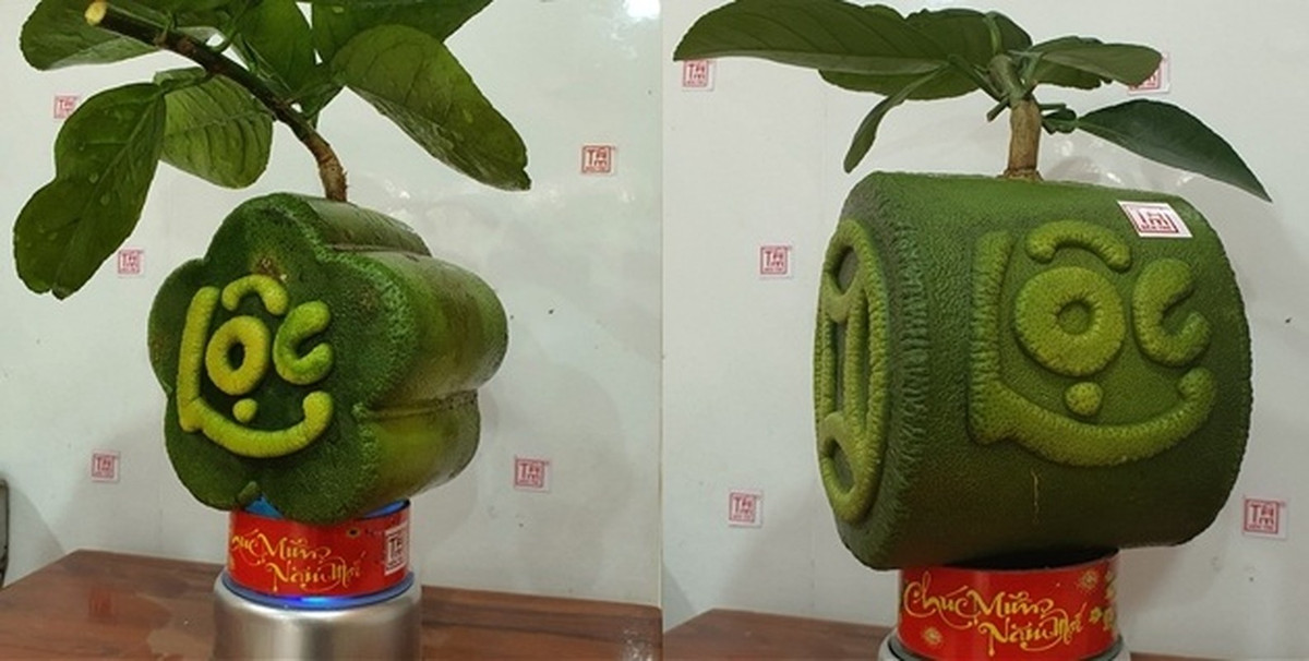Mâm ngũ quả ngày Tết là một phần không thể thiếu trong mỗi gia đình Việt. Để mâm ngũ quả thêm phần sinh động và ý nghĩa, nhiều người đã lựa chọn những quả bưởi tạo hình độc đáo để trưng bày. Ảnh: Dân Việt