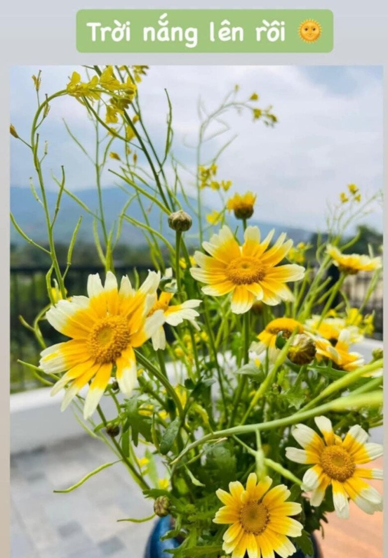 Phía xa là khung cảnh mờ sương, tạo khung cảnh thơ mộng. Ảnh: FB Dang Diem Quynh