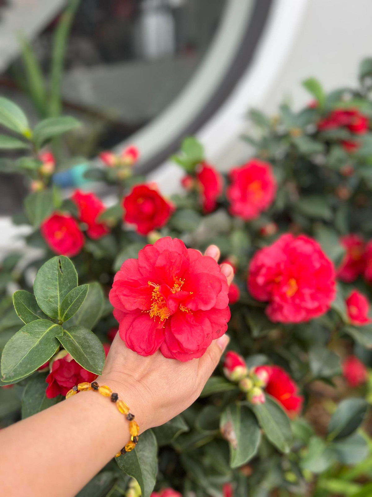 Qua hình ảnh được Diễm Quỳnh đăng tải trên story, có thể thấy không gian sống bình yên, gần gũi thiên nhiên. Ảnh: FB Dang Diem Quynh