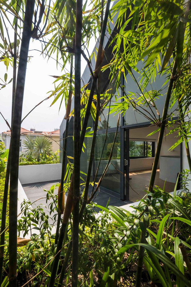 Các chậu cây trồng tích hợp với thảm thực vật giúp lọc ánh sáng mặt trời trực tiếp và kiểm soát tầm nhìn. Ảnh: Hiroyuki Oki