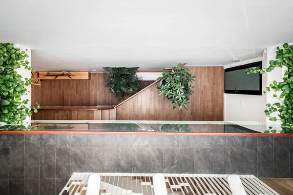 Không chỉ đóng vai trò lấy sáng và thông gió, giếng trời còn là khu vực lý tưởng để bố trí mảng xanh. Ảnh: Bùi Minh Quốc