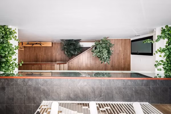 Không chỉ đóng vai trò lấy sáng và thông gió, giếng trời còn là khu vực lý tưởng để bố trí mảng xanh. Ảnh: Bùi Minh Quốc