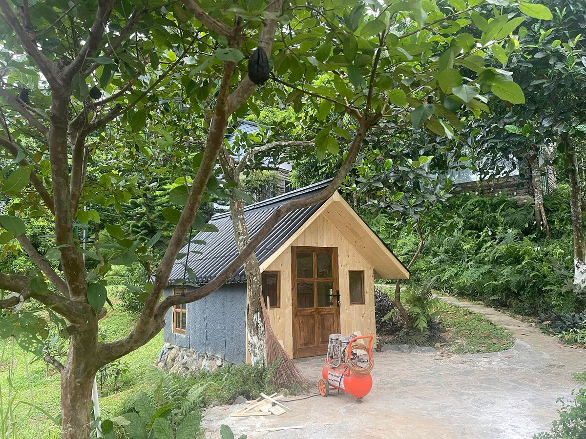 Ca sĩ Việt Hoàn cho biết, mảnh đất trước khi cải tạo chỉ có vài cây lâu năm. Để phủ xanh, Việt Hoàn mua hàng trăm loại cây gồm đào, ổi, mít, bưởi, sim, hoa phù dung... về trồng. Ảnh: FBNV