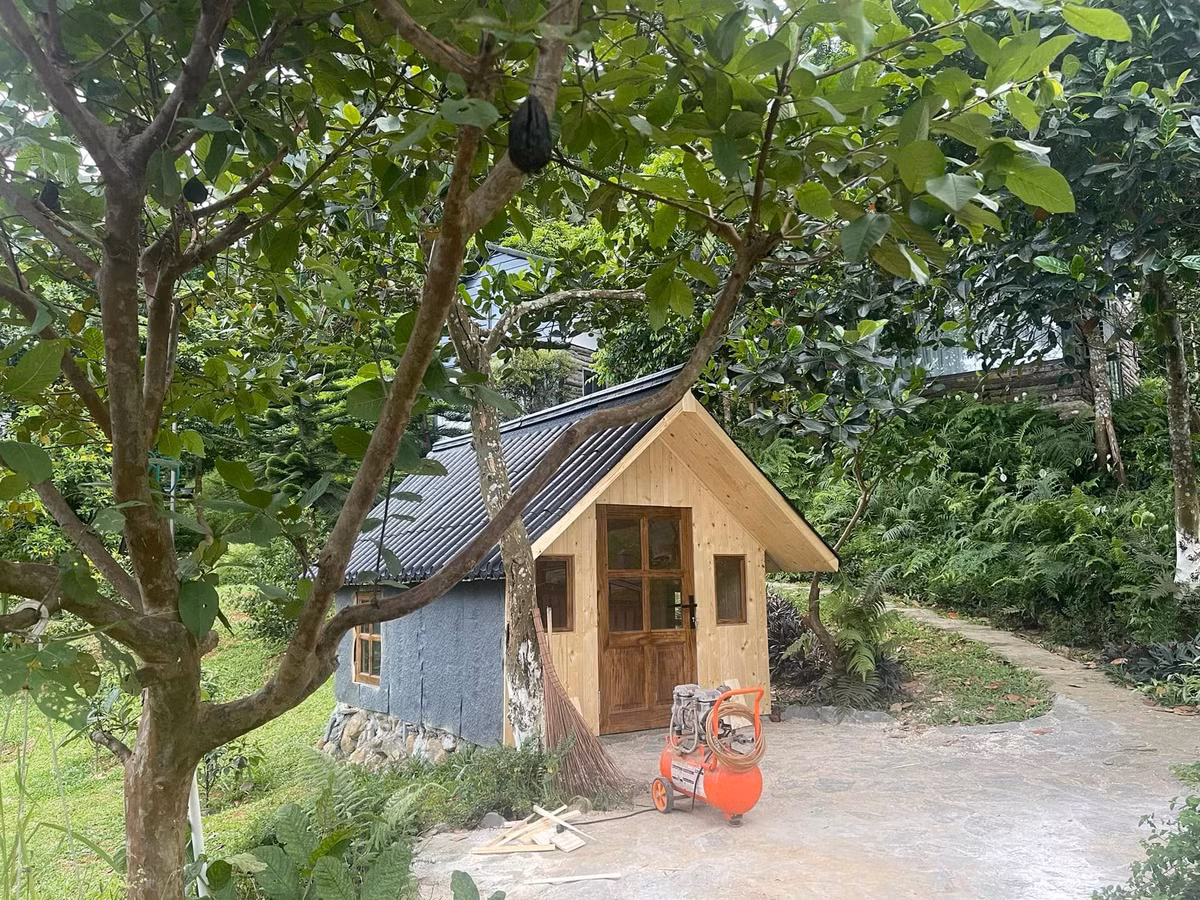 Ca sĩ Việt Hoàn cho biết, mảnh đất trước khi cải tạo chỉ có vài cây lâu năm. Để phủ xanh, Việt Hoàn mua hàng trăm loại cây gồm đào, ổi, mít, bưởi, sim, hoa phù dung... về trồng. Ảnh: FBNV