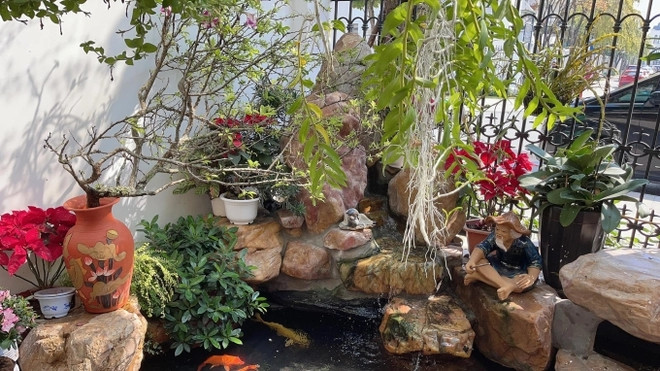 Phía trước nhà là hồ cá và trồng nhiều cây cảnh. Ảnh: FBNV