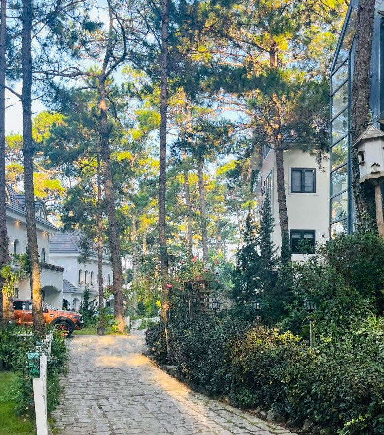 Lối vào biệt thự lát đá giữa rừng thông gợi cảm giác như bước vào khu vườn châu Âu. Ảnh: FB Phan Như Thảo