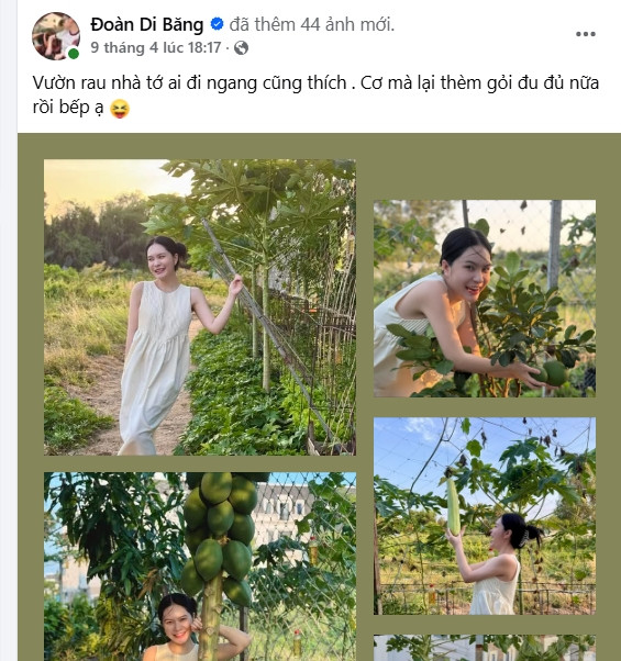 Mới đây trên trang cá nhân, Đoàn Di Băng chia sẻ vườn rau trong biệt thự "ai ngang qua cũng thích" khiến nhiều người xuýt xoa. Ảnh chụp màn hình