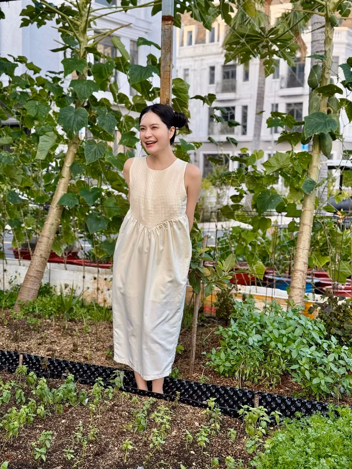 Khu vườn của Đoàn Di Băng trồng nhiều loại rau sạch, cung cấp thực phẩm cho cả gia đình. Ảnh: FB Đoàn Di Băng