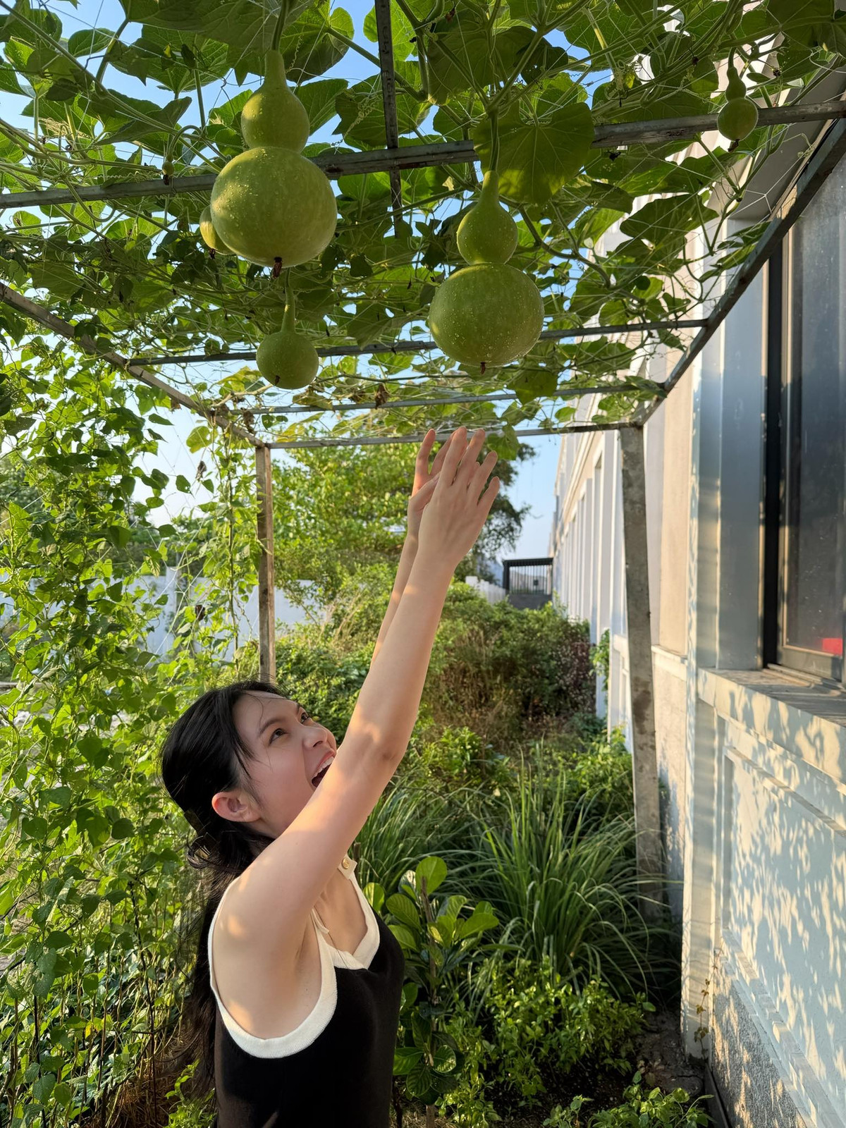 Đoàn Di Băng thích trước trước giàn bầu hồ lô. Ảnh: FB Đoàn Di Băng