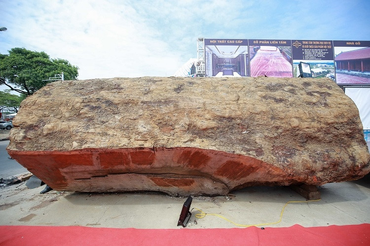 Với kích thước khủng, khúc gỗ được rao bán khoảng 10 tỷ đồng nhưng không phải ai cũng có thể "xuống tiền" để sở hữu. Ảnh: Dân Việt