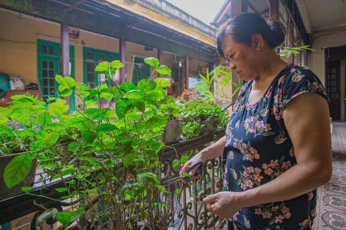 Khi hai cụ mất, căn biệt thự thuộc quyền sở hữu của bà Trương Thị Mô, con gái thứ 2 của vợ chồng cụ Trương Trọng Vọng. Sau này, bà Mô mất, căn biệt thự được giao cho con gái là bà Lê Thanh Thủy (SN 1955) giữ gìn đến nay. Ảnh: Internet