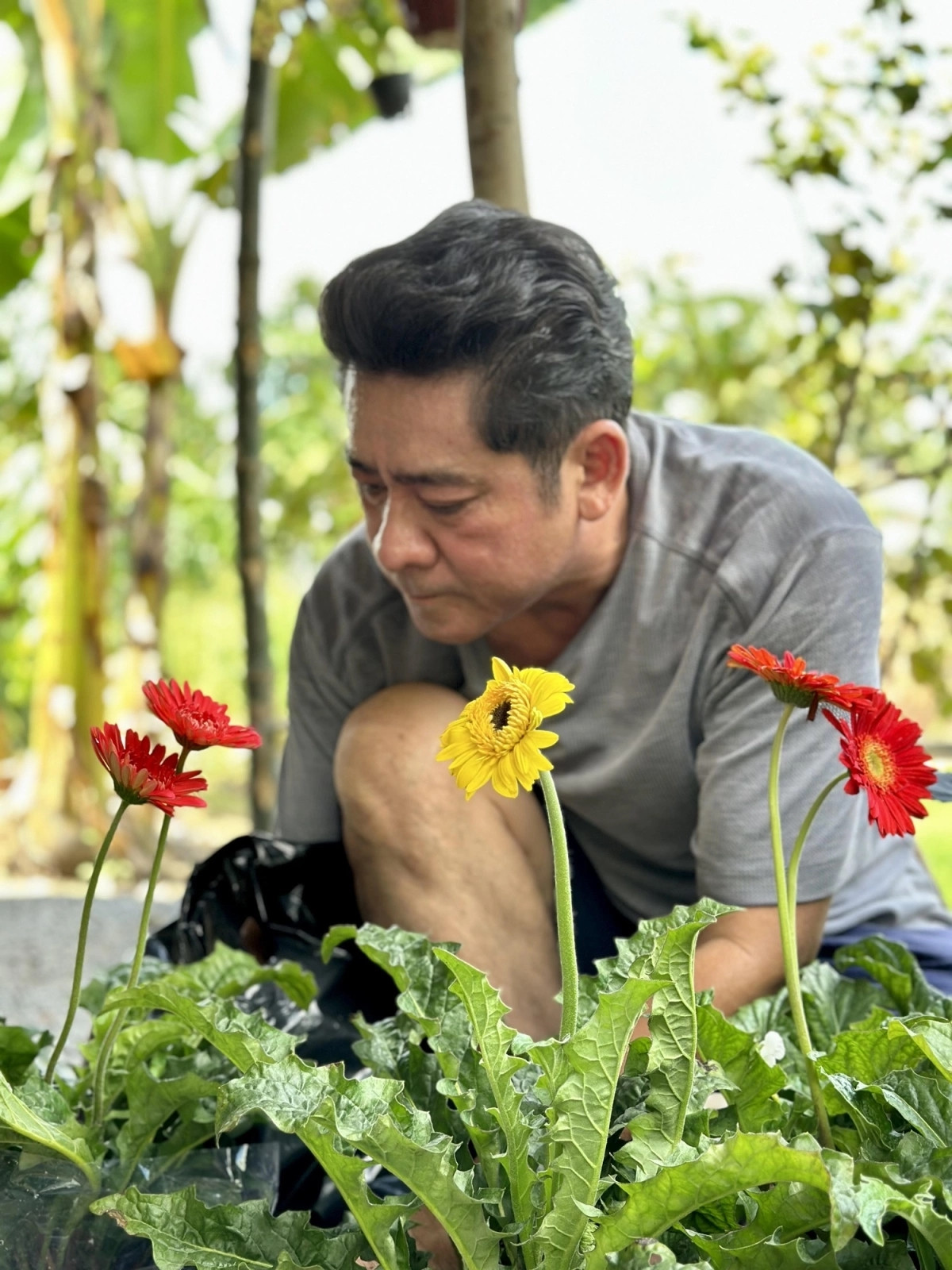 Huỳnh Anh Tuấn thích đi chợ cây chọn từng khóm hoa đẹp, dễ chăm sóc về tô điểm quanh nhà chòi. Ảnh: FBNV