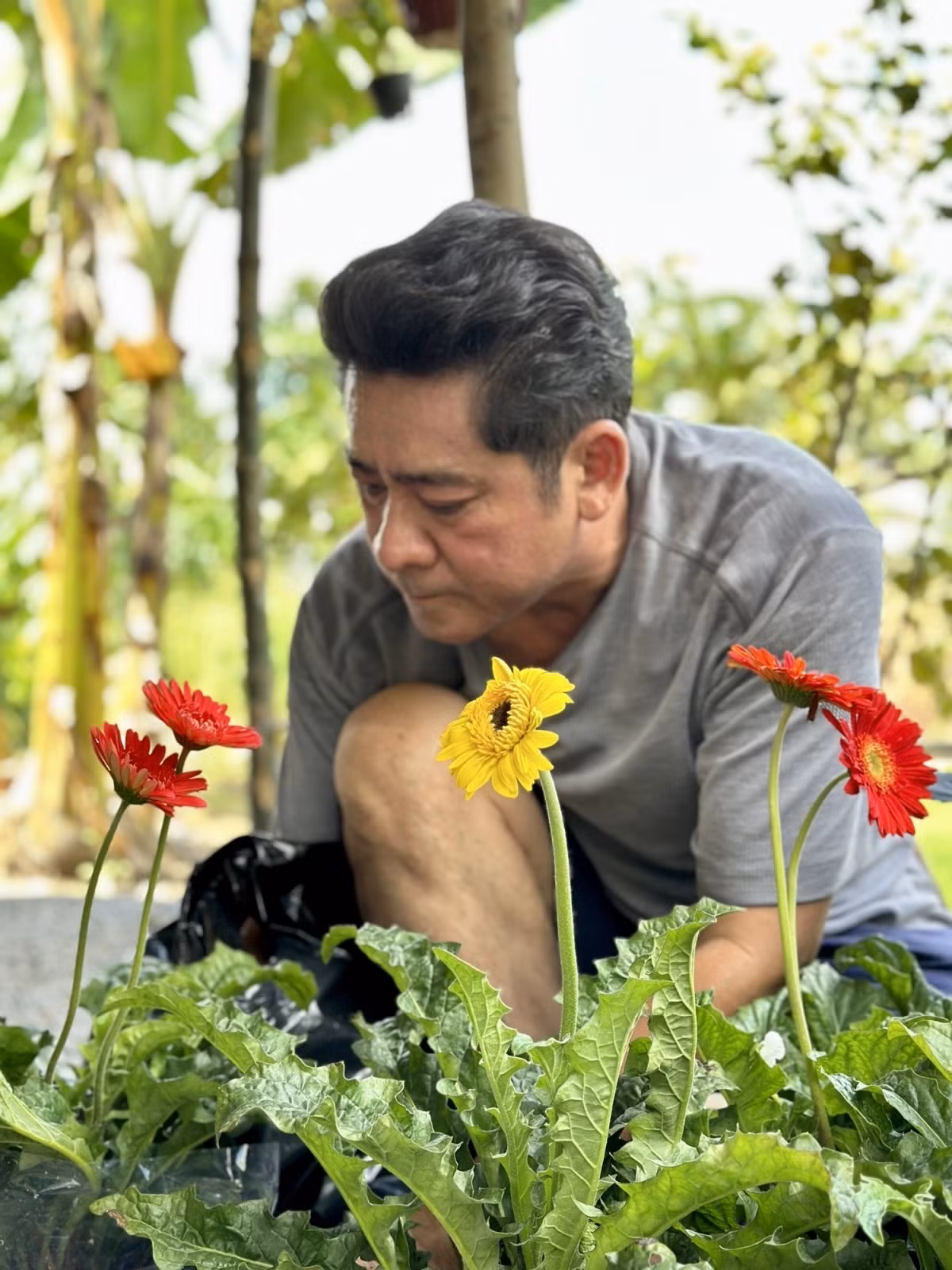 Huỳnh Anh Tuấn thích đi chợ cây chọn từng khóm hoa đẹp, dễ chăm sóc về tô điểm quanh nhà chòi. Ảnh: FBNV