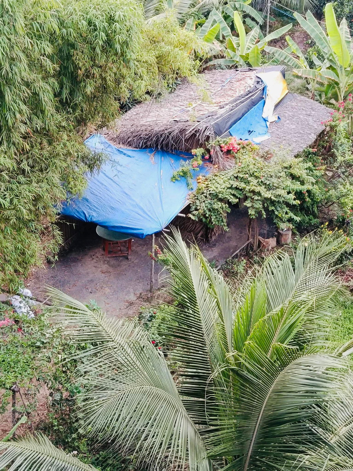 Căn chòi nhỏ bình yên giữa vùng quê. Ảnh: FBNV