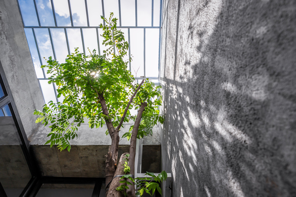 Kiến trúc sư bố trí một khu vườn xen kẽ dọc theo chiều dài căn nhà để tạo hiệu ứng đón nắng và gió. Ảnh: Minq Bui