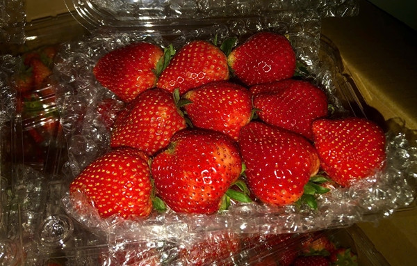 Dâu tây giá rẻ đầy vỉa hè, phân biệt dâu Trung Quốc thế nào? - Hình 2 Dau tay gia re day via he, phan biet dau Trung Quoc the nao?-Hinh-2