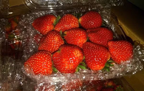 Dâu tây giá rẻ đầy vỉa hè, phân biệt dâu Trung Quốc thế nào? - Hình 2 Dau tay gia re day via he, phan biet dau Trung Quoc the nao?-Hinh-2