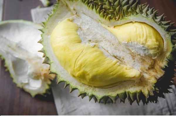 Ngay cả khi chín muồi, thịt quả vẫn giữ được độ săn chắc, không bị nhão như nhiều giống sầu riêng khác. Ảnh: Shutterstock