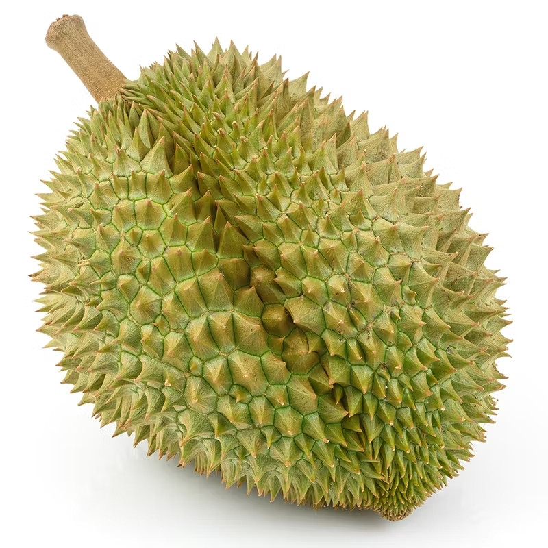 Bất chấp mức giá cao ngất ngưởng, nhu cầu đối với sầu riêng Kanyao vẫn rất lớn trong khi nguồn cung không thể theo kịp. Ảnh: Top