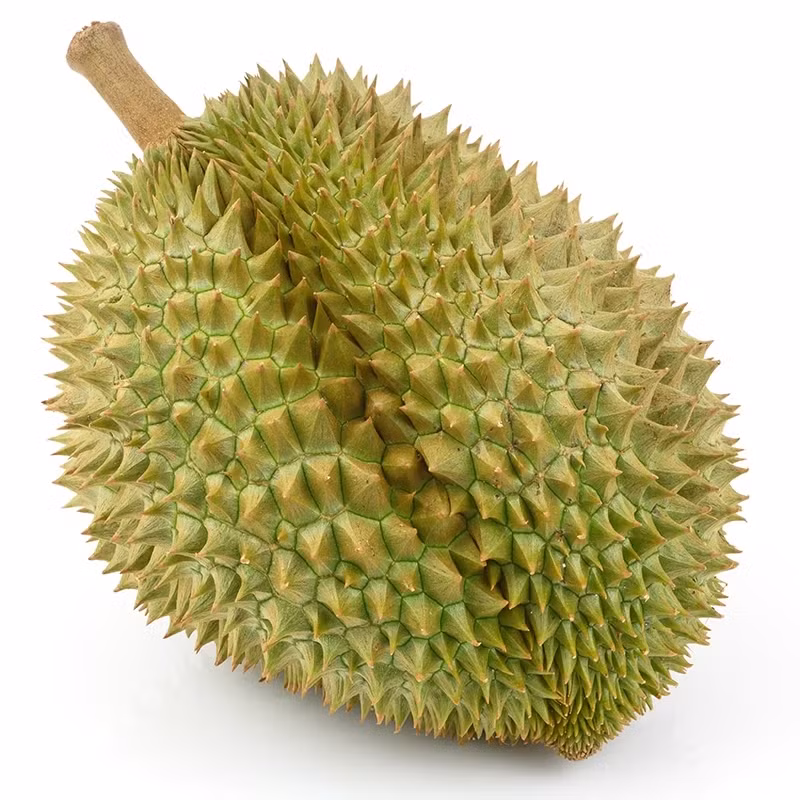 Bất chấp mức giá cao ngất ngưởng, nhu cầu đối với sầu riêng Kanyao vẫn rất lớn trong khi nguồn cung không thể theo kịp. Ảnh: Top