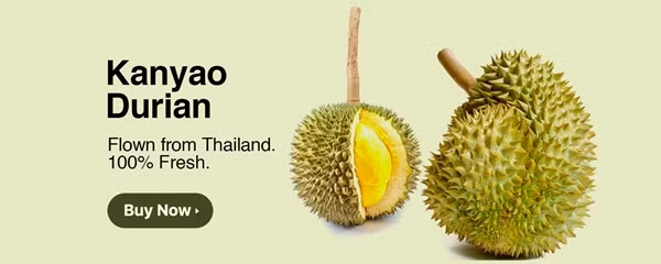 Sầu riêng Kanyao có chất lượng đặc biệt thơm ngon và quý hiếm vì mỗi năm chỉ có khoảng vài trăm trái bán ra thị trường. Ảnh: Weee