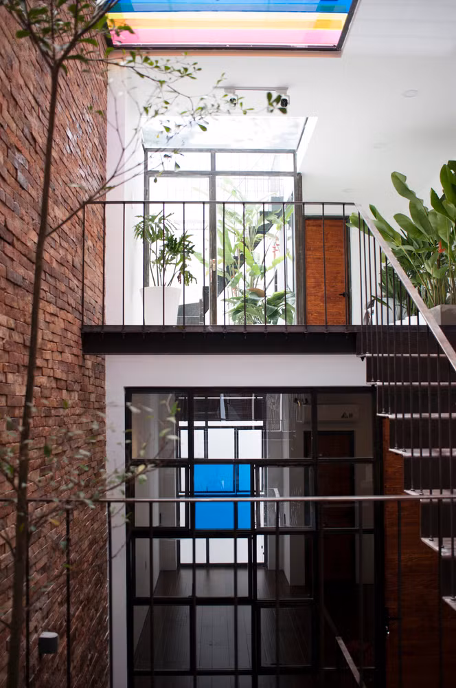 Giếng trời cũng là không gian thích hợp để trồng những loại cây thân cao trong ngôi nhà 4 tầng. Ảnh: Han Deo