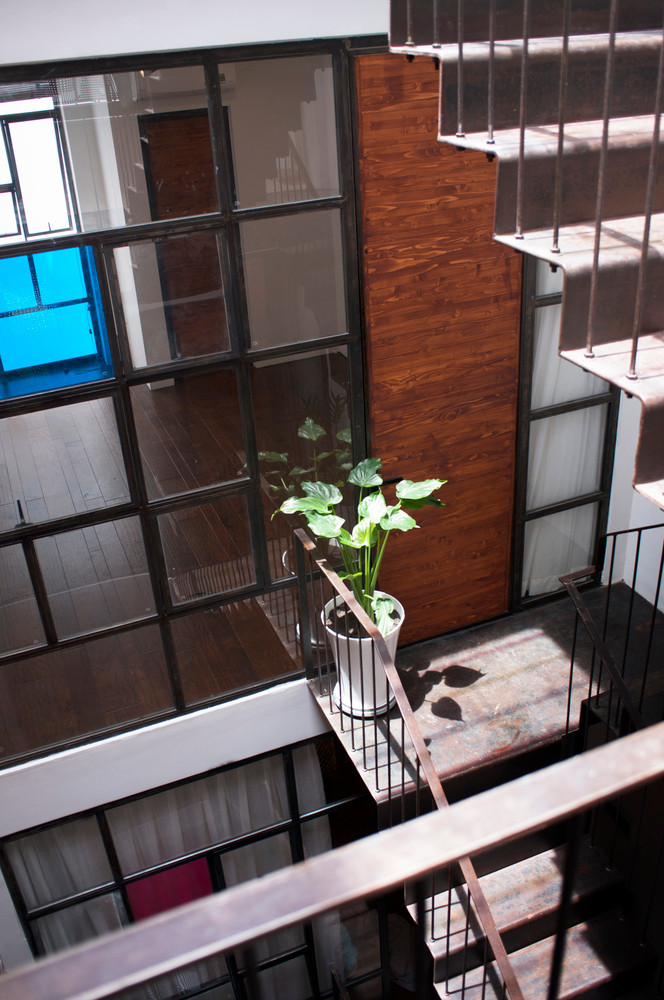 Không gian cầu thang tràn ngập ánh nắng. Ảnh: Han Deo