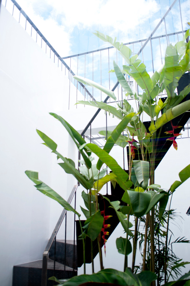 Đây là không gian thích hợp cho phép trồng những loại cây thân cao trong ngôi nhà bốn tầng lầu. Không gian giếng trời có nhiệm vụ mang ánh sáng và gió tự nhiên đi khắp căn nhà. Ảnh: Han Deo