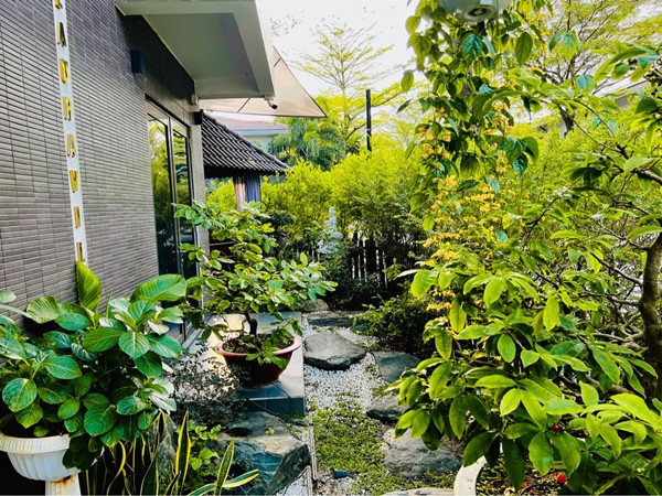 Không gian bên ngoài biệt thự vô cùng thoáng đãng nhiều cây xanh. Ảnh: FBNV