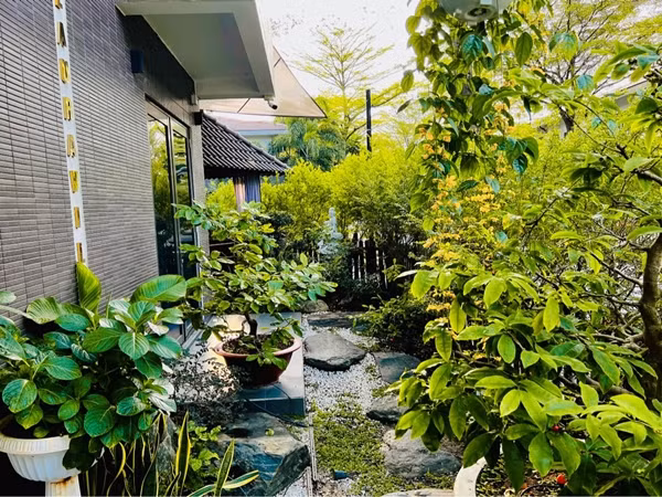 Không gian bên ngoài biệt thự vô cùng thoáng đãng nhiều cây xanh. Ảnh: FBNV