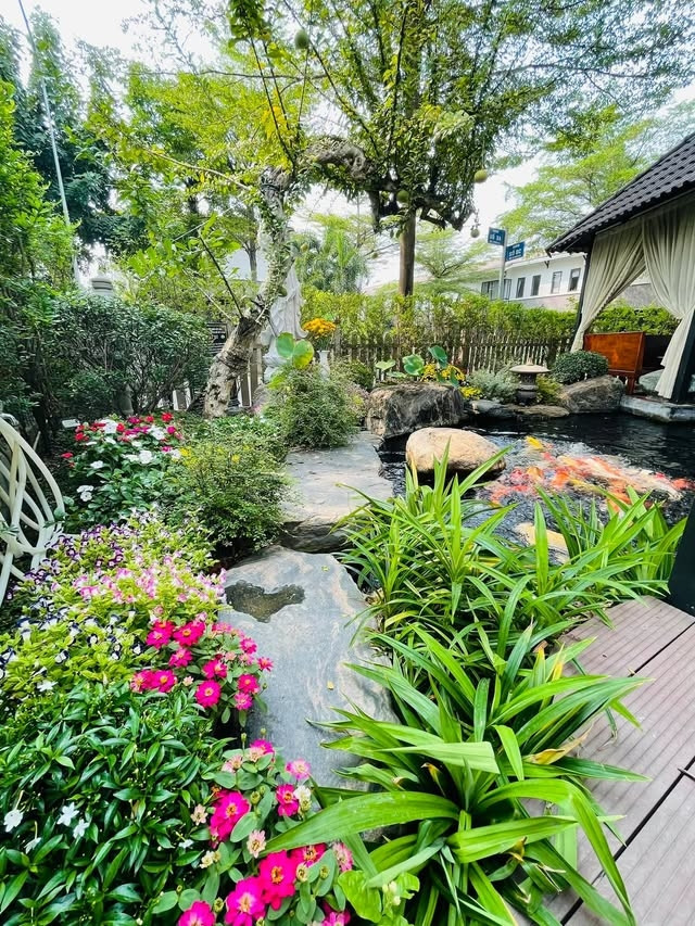 Từ vườn nhà đến sân thượng, diễn viên Nhật Kim Anh trồng nhiều loại hoa, rau xanh và cây ăn trái... Ảnh: FBNV