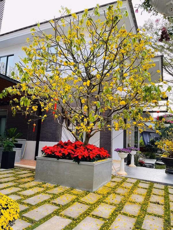 Biệt thự của Nhật Kim Anh gồm 2 tầng, mang phong cách hiện đại. Ảnh: FBNV