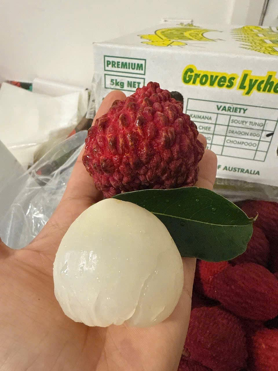 Theo các tiểu thương, đây là năm thứ hai vải rồng Úc được nhập về Việt Nam bán trong dịp Tết Nguyên đán. FB Lê Mỹ Ngân