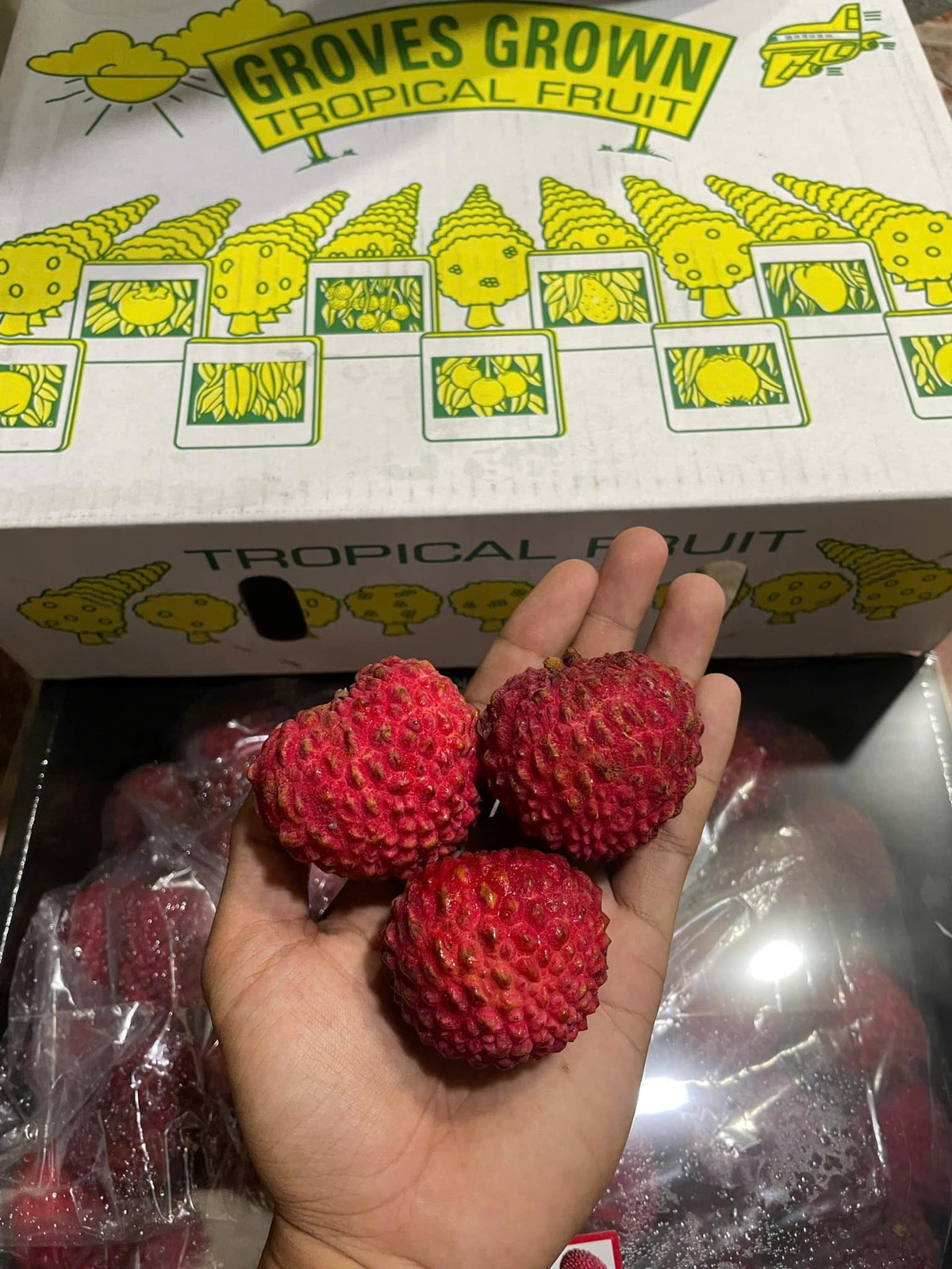 Một số cửa hàng trái cây nhập khẩu cho biết, vải rồng Úc luôn trong tình trạng cháy hàng do số lượng nhập khẩu hạn chế, mỗi đợt chỉ khoảng 5 đến 10 thùng, mỗi thùng nặng 5 kilogam. Ảnh: FB Julie Nguyen