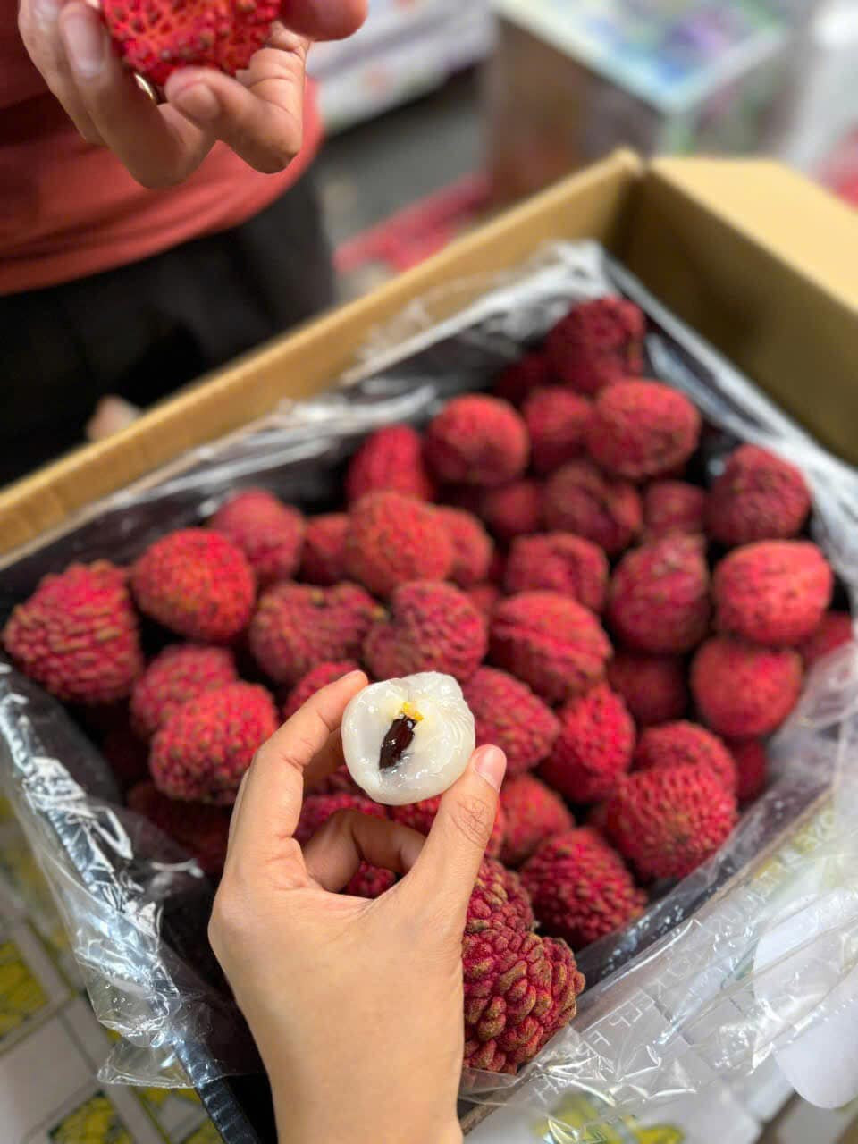 Sự khác biệt từ kích thước đến hương vị khiến vải rồng Úc trở thành mặt hàng được ưa chuộng trong dịp Tết 2025. Ảnh: Facebook