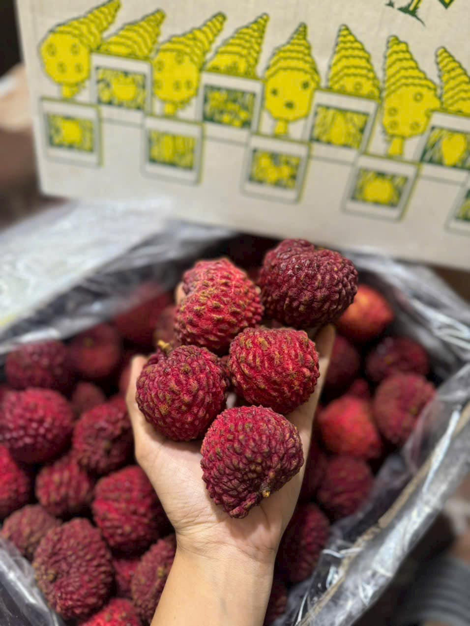 Nhu cầu mua vải rồng Australia ngày càng tăng. Nhiều người năm ngoái mua thử 1kg nhưng năm nay mua cả thùng 5kg để biếu Tết. Ảnh: Facebook