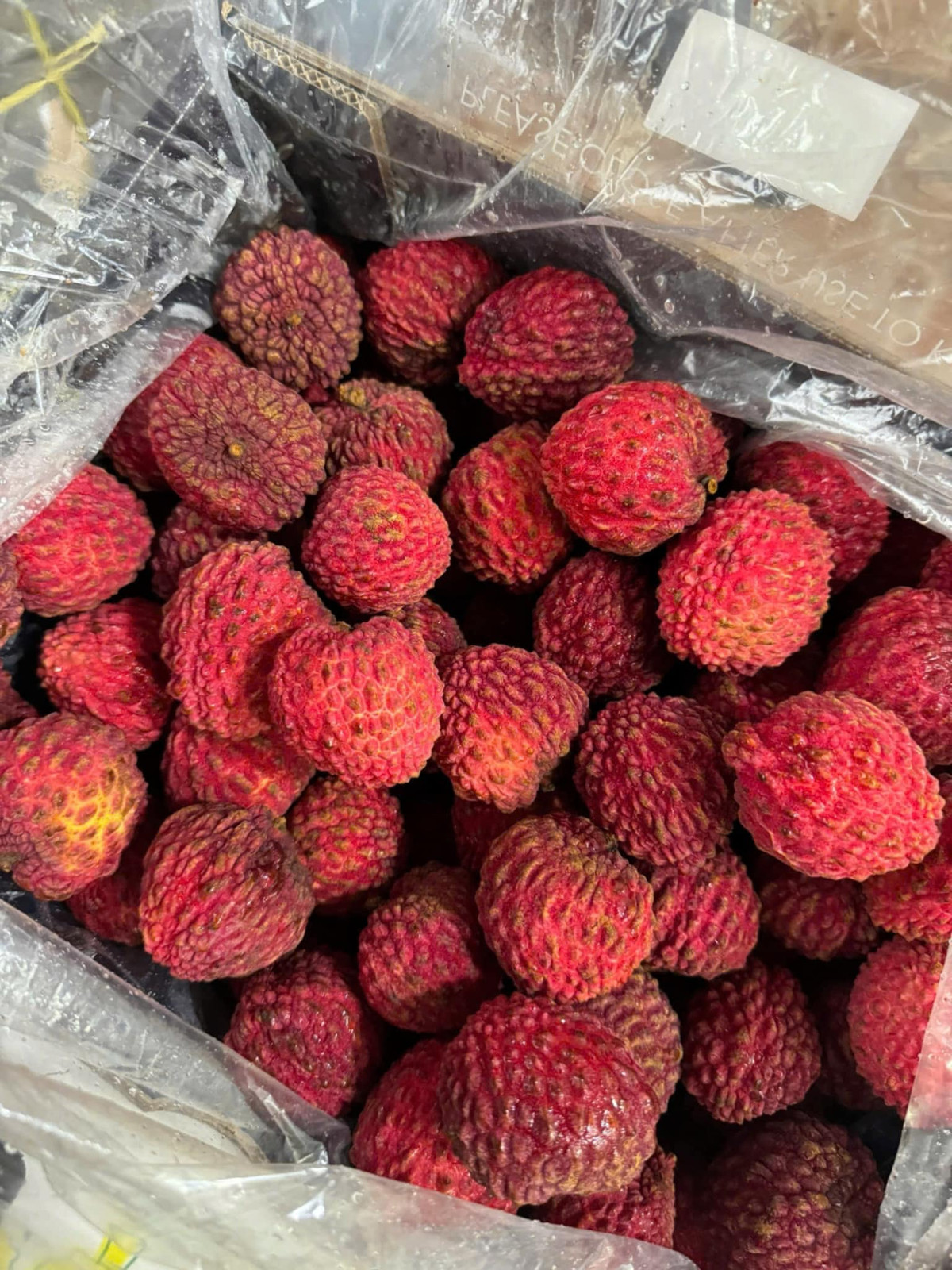 Đặc điểm nổi bật của vải rồng Úc là kích cỡ lớn gần bằng lòng bàn tay, vỏ tươi, vị ngọt thơm, không chua, vỏ mỏng, tạo cảm giác khác biệt so với các loại vải khác trên thị trường. Ảnh: FB Julie Nguyen