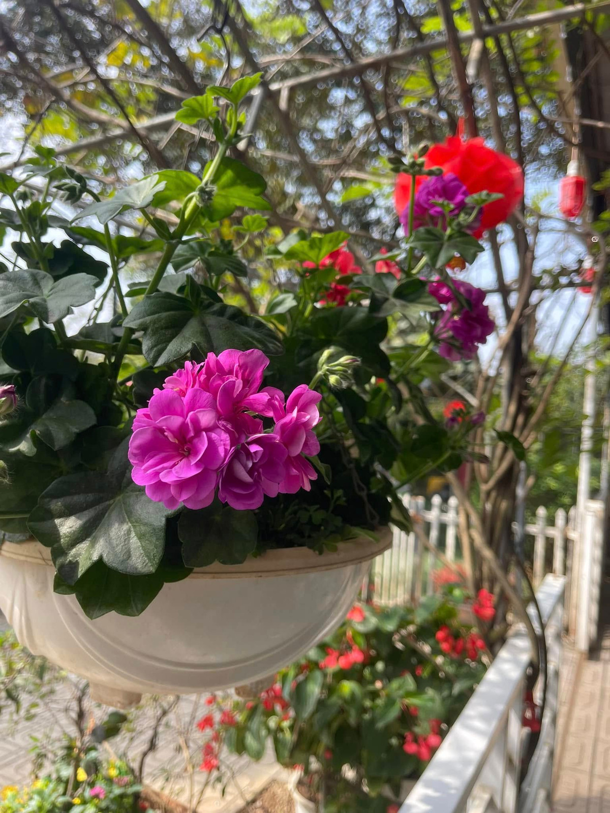 Sau hào quang của sân khấu, NSND Thanh Hoa trở về với không gian trong lành, nghe tiếng chim lảnh lót bên trong căn nhà vườn. Ảnh: FBNV