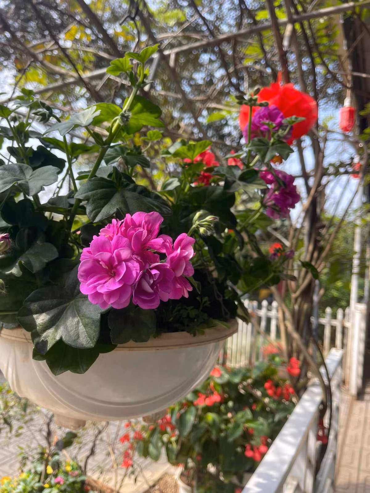 Sau hào quang của sân khấu, NSND Thanh Hoa trở về với không gian trong lành, nghe tiếng chim lảnh lót bên trong căn nhà vườn. Ảnh: FBNV